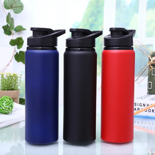 Stylish Portable Stainless Steel Water Bottle