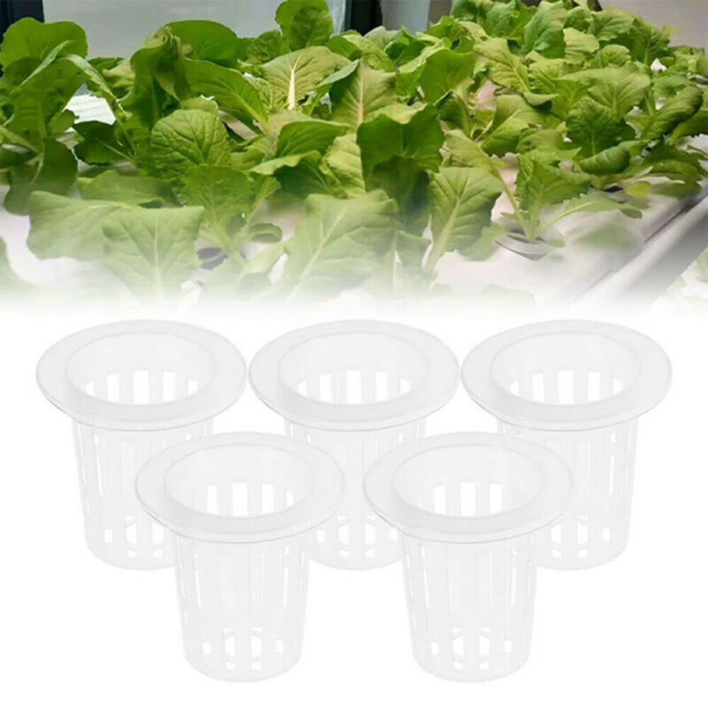 Hydroponic Grow Vegetable Basket System