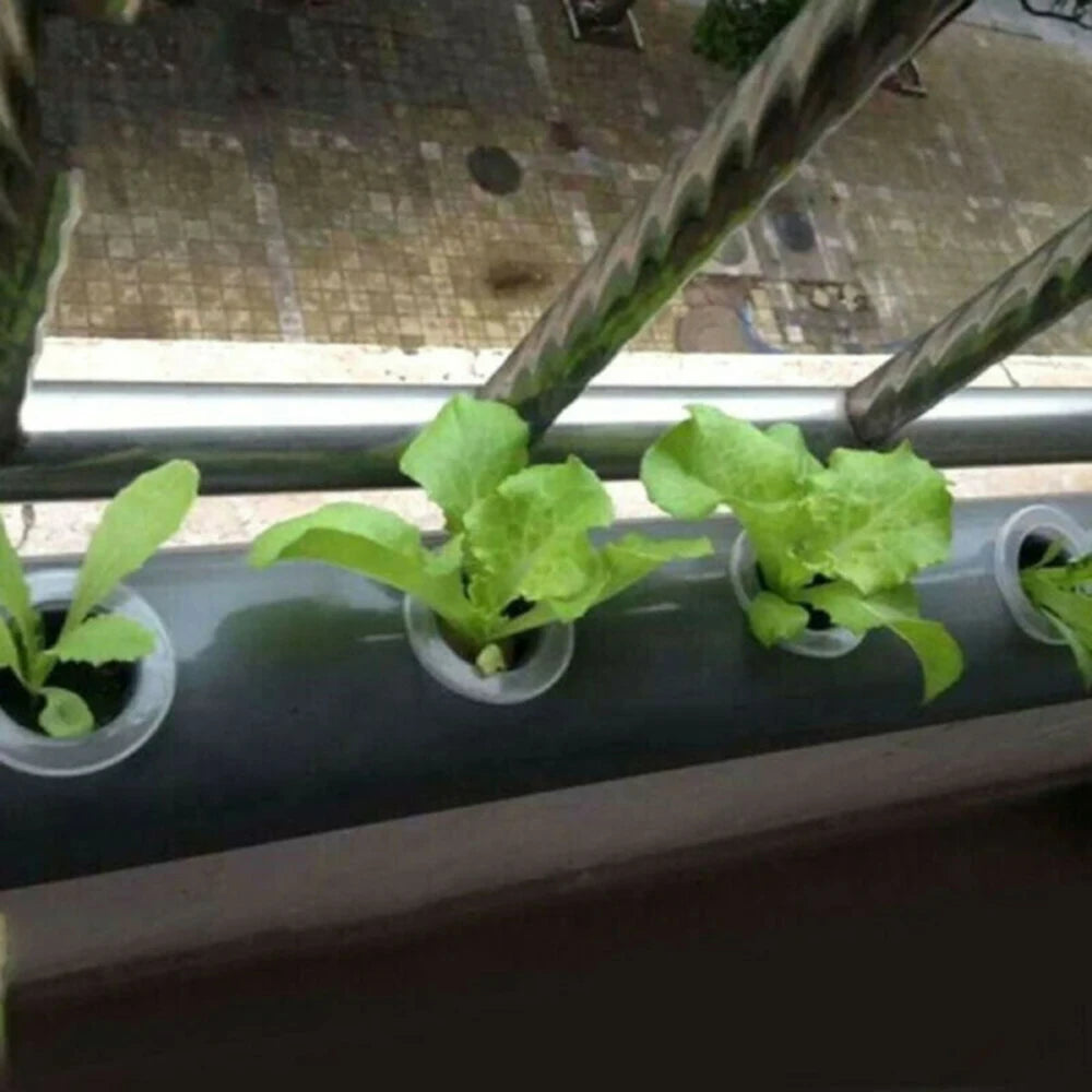 Hydroponic Grow Vegetable Basket System